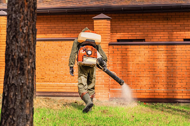 Trusted Emergency Pest Control service in Manasota Key, FL - Nex Pest Control